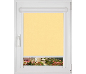 Фото Рулонные шторы в кассете на руму окна (Арт 9253)